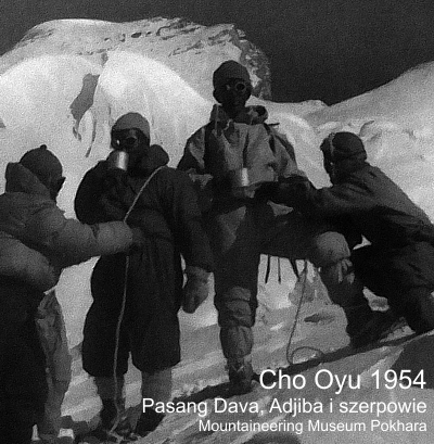 cho oyu4