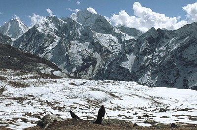 LANGTANG HELAMBU '17